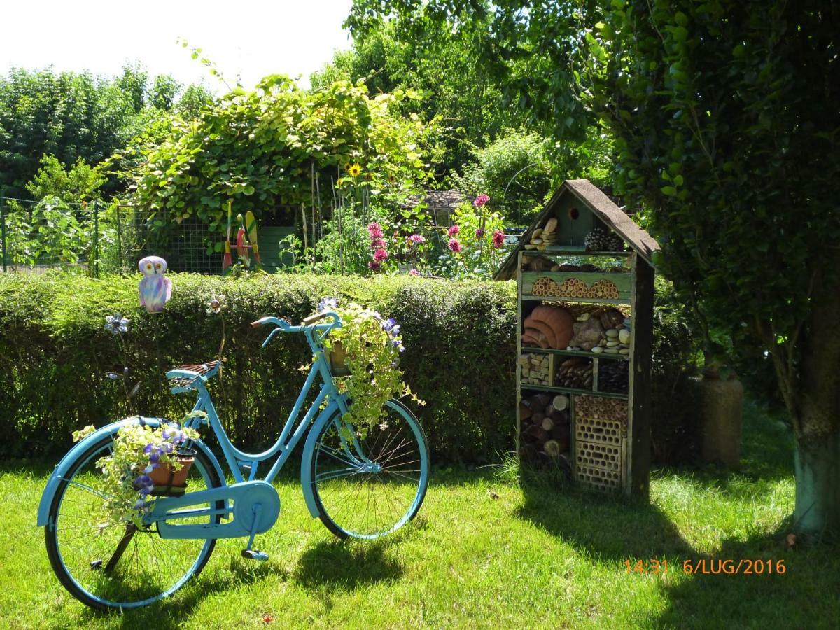 Bed & Bike Belfiore Монтаньяна Екстер'єр фото